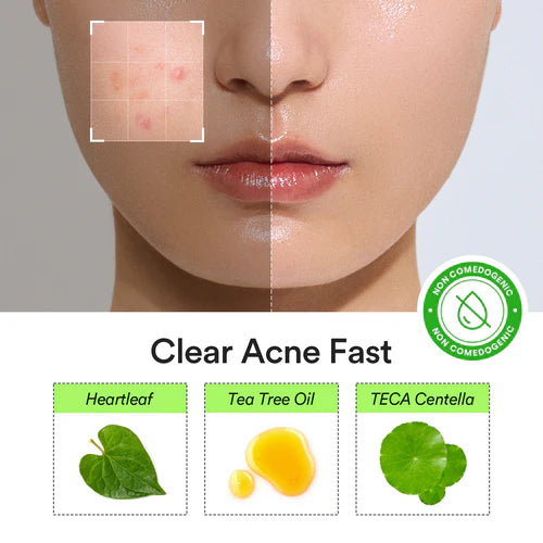 Abib - Heartleaf Calming Spot Patch - 78pz | Parches Calmantes Y Protectoras De Imperfecciones Con Extracto De Houttuynia Cordata