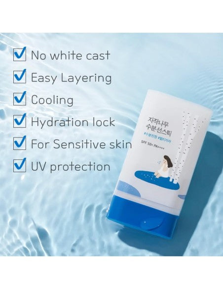 Round LaRound Lab - Birch Juice Moisturizing Sun Stick - 19g | Protector Solar Hidratante con Savia de Abedul
